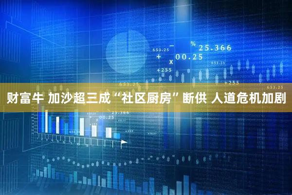 财富牛 加沙超三成“社区厨房”断供 人道危机加剧