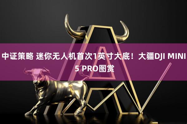 中证策略 迷你无人机首次1英寸大底！大疆DJI MINI 5 PRO图赏
